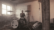 a great big pile of leaves snack attack GIF by Topshelf Records