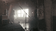 a great big pile of leaves snack attack GIF by Topshelf Records