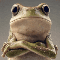 Frog Trend GIF