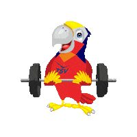 TSVfalkensee sport salto tsv langhantel Sticker