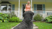 charlybliss dq charly bliss GIF