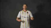 South Carolina Soccer GIF by Charleston Battery
