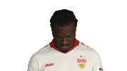 Look Up Vfb Stuttgart Sticker by Bundesliga