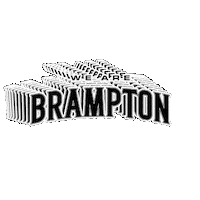 Basketball Nba Sticker by Brampton Honey Badgers