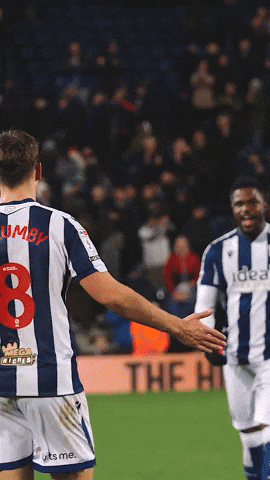 West Brom Wba GIF by West Bromwich Albion
