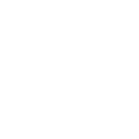 Illustration Skull Sticker