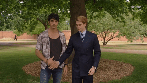 Prime Video Handshake GIF by Red, White & Royal Blue