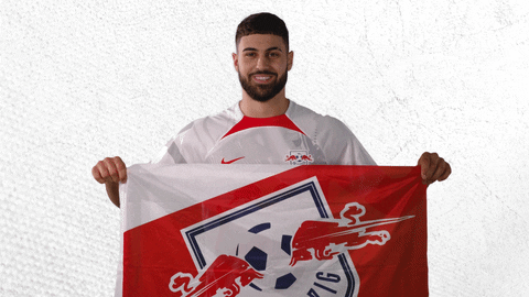 Football Win GIF by RB Leipzig