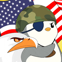 United States Usa GIF by Pudgy Penguins