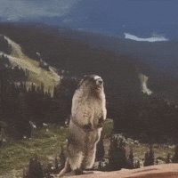 Shocked Cry GIF