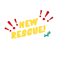 Dogrescue Sticker by HIT Living Foundation