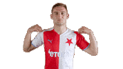 Football Wind Sticker by SK Slavia Praha