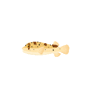 Illustration Cartoon Sticker by Muséum-Aquarium de Nancy