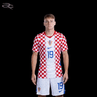Fifa World Cup Uefa GIF by Respective