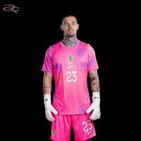 Fifa World Cup Uefa GIF by Respective