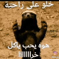 Iraq GIF