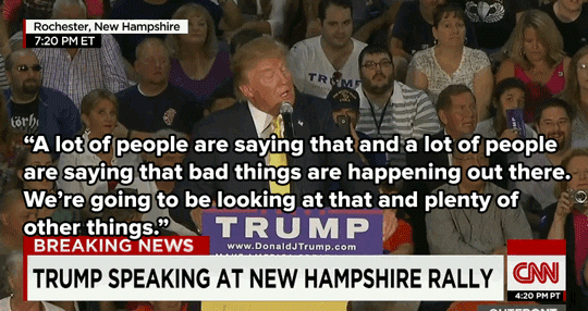 donald trump GIF