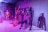 stereo_kontora museum pinkrabbit GIF