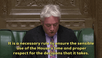 brexit john bercow GIF