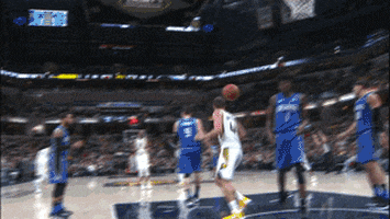 happy indiana pacers GIF by NBA