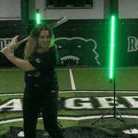 Parkside Softball GIF by Parkside Athletics
