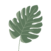MartePeetersVormgever green plant leaf monstera Sticker
