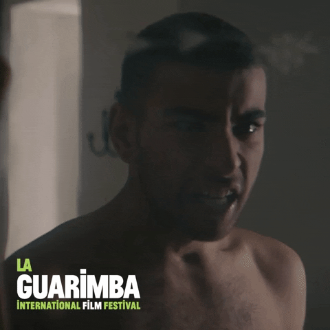 Angry Fight Gif By La Guarimba Film Festival Find Share On Giphy