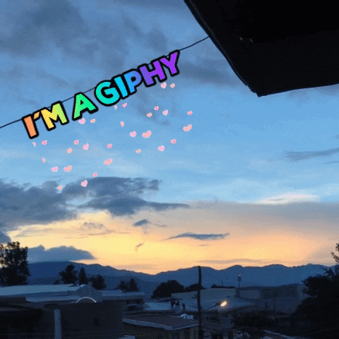 Jmz GIF by jorgemariozuleta