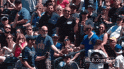 tampa bay rays GIF by MLB