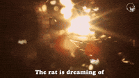 The Rat Is Dreaming Of A Desirable Future
