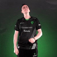 Point Esports GIF by Sprout
