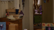 season 1 a pee stick and an asian raccoon GIF by mom