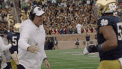 High Five Handshake GIF by Notre Dame Fighting Irish