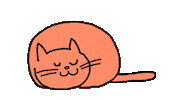 Cat Sticker by Lloyd Davies