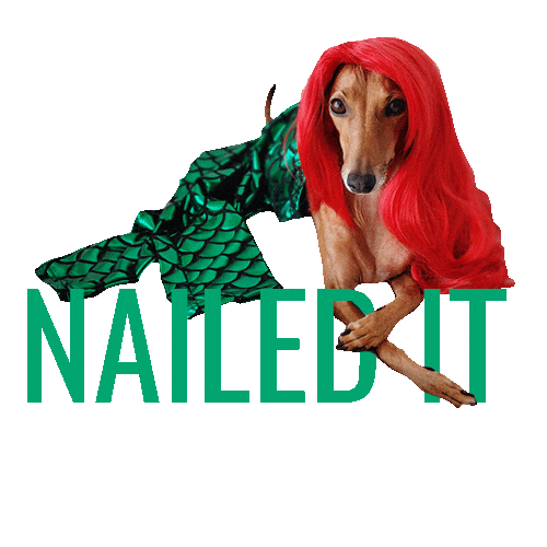 Trick Or Treat Dog Sticker