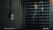 Season 2 GIF by Law & Order