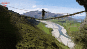 The Summit Falling GIF by The Summit Australia