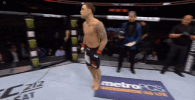 ufc 211 GIF