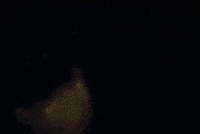 Like Crazy Face GIF