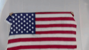 usa thompson GIF by LPGA