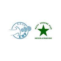 Sport Heerlen Sticker by Groene ster