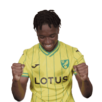 Celebrating Premier League Sticker by Norwich City Football Club