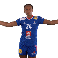 Ffhandball Sticker by Fédération Française de Handball