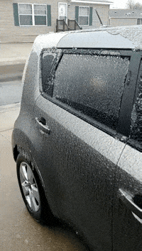 Reaction Middle Finger GIF