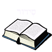 Tel Aviv Israel Sticker by Marcel Katz / The Art Plug