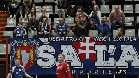 slovakhandball giphyupload handballfans slovakhandball viacakoport GIF