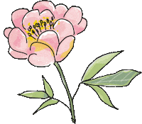 Flower Magic Sticker by krima&isa