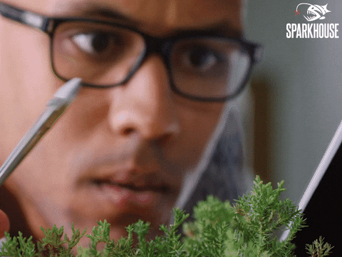 Nervous I Got This GIF by TheSparkhouse