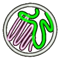 Sticker Neon Sticker