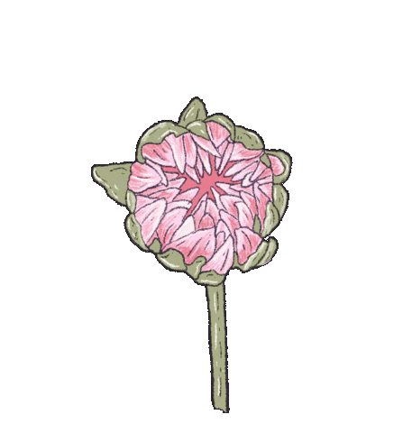 Summer Pink Sticker